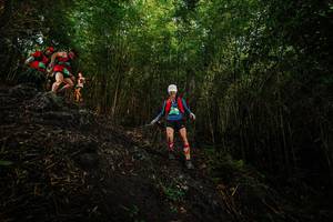 BIB: 
                            <button type="button" onclick="openModal(25099368)" class="btn btn-primary btn-sm float-right btn-popup" data-toggle="modal" data-target=".modal-high-quality">
                        <i class="fas fa-shopping-cart"></i> Add to Cart
                    </button>
                                            <button type="button" onclick="isThisMe(25099368, true)" class="btn btn-success btn-sm float-right btn-popup btn-isme hidden" data-toggle="tooltip" data-placement="bottom" title="นี่คือรูปของคุณใช่ไหม คลิกที่นี่เพื่อเอาเข้าอัลบั้ม">
                        <i class="fas fa-plus"></i> Add to album
                    </button>
                    <button type="button" onclick="isThisMe(25099368, false)" class="btn btn-warning btn-sm float-right btn-popup btn-isnotme hidden">
                        <i class="fas fa-ban"></i> Remove from album
                    </button>